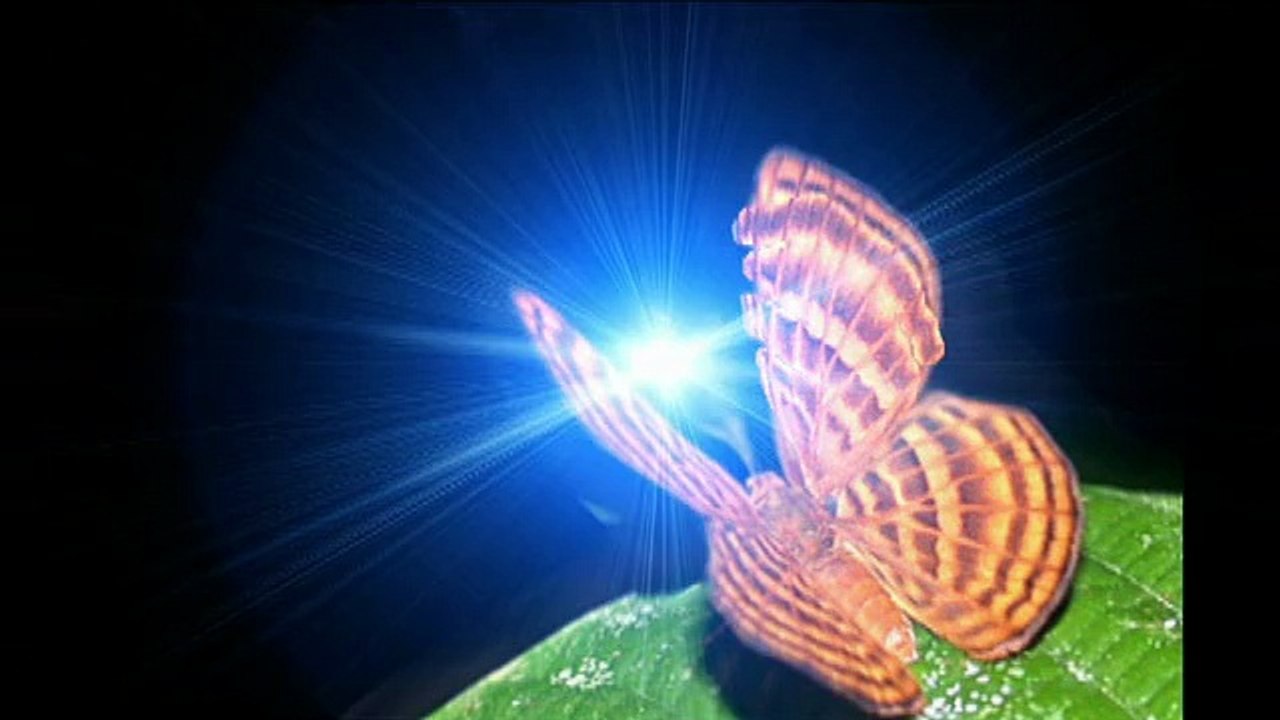 islam miracle.سبحان الله لن تصدق ما سترى والله سوف تذهل