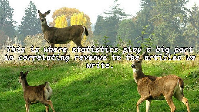 Article Marketing - Correlating Revenue To The Articles You Write