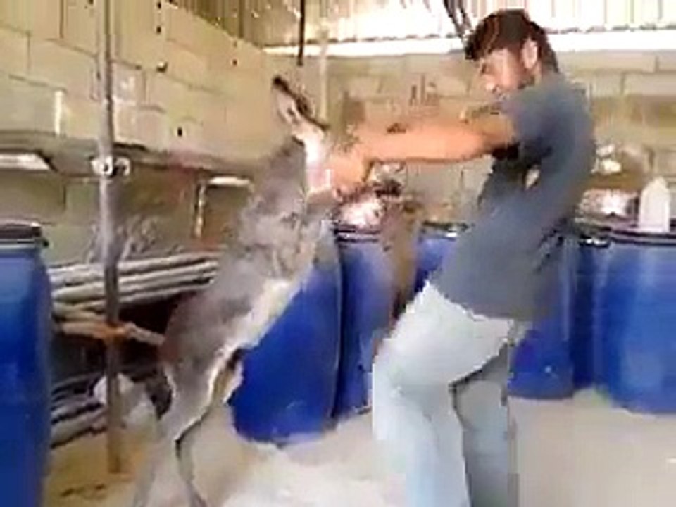 واہ جی واہ کیا ڈانس یے مزہ آ گیا _ Sonu HD Songs