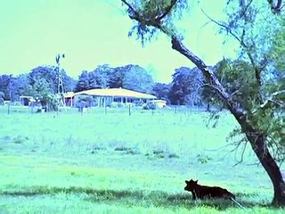 World Energy Visits Buccaneer Energy at Lee County