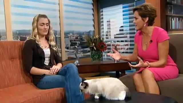 Grumpy Cat becomes Internet sensation | Meet 'Tardar Sauce,' the grumpy cat gone viral #GrumpyCat