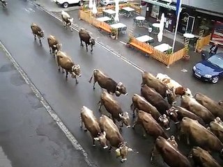 Morgens um 9 in Oberstdorf