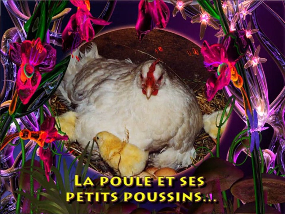 Le Rôle Des Femmes Dans L'Église (2ème Épisode)