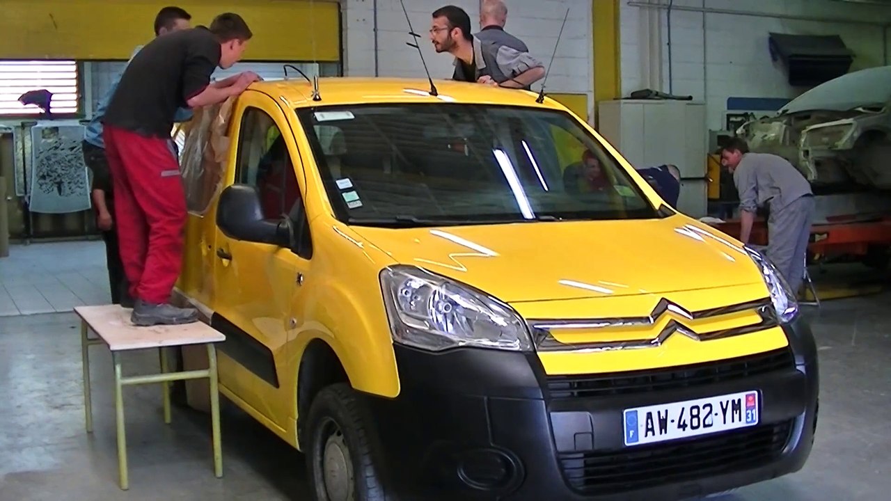 Canari par les peintres