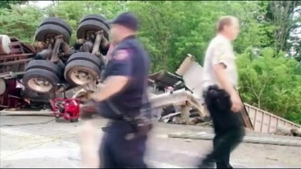 Chasse au porcelet sur l'autoroute après un accident