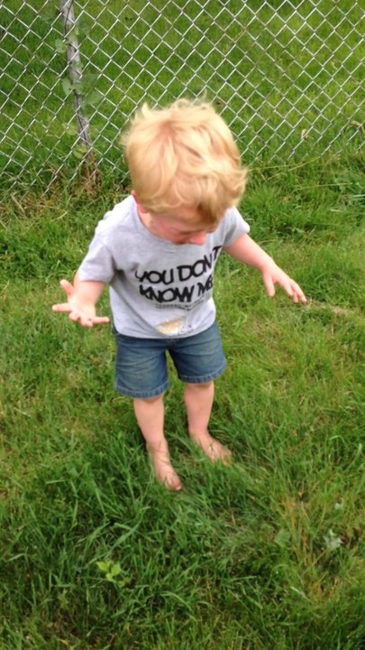 Un gamin devient fou parce qu'il a marché sur une crotte de chien : Chien 1, enfant 0