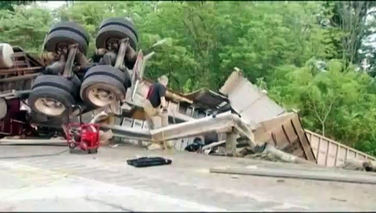 Plus de 1 000 porcelets secourus après l'accident d'un camion aux Etats-Unis