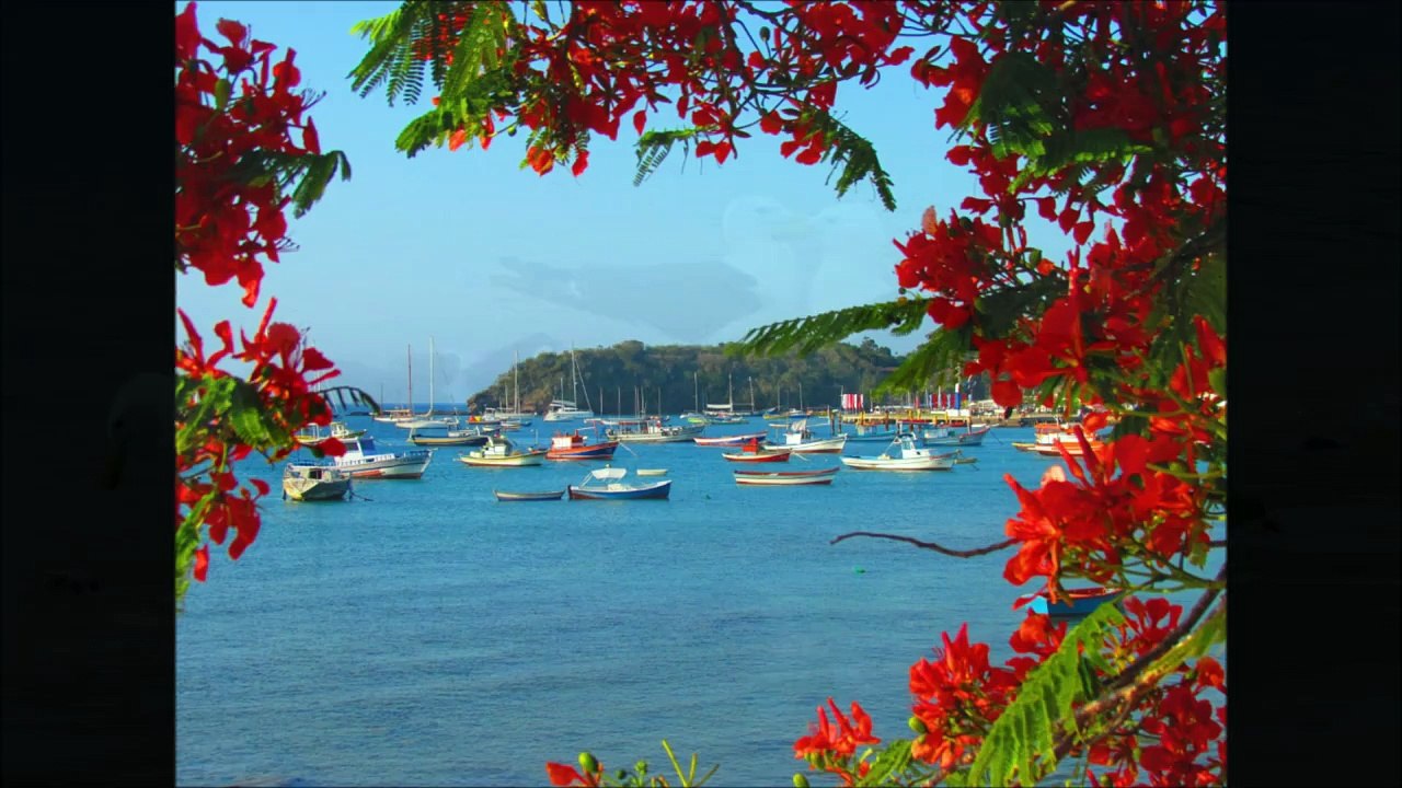 Diving in Brazil: Mergulhos no Brasil ~ Armação de Búzios ~ Rio de Janeiro