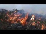 Incendios forestales en los cerros de Cali arrasan con La Castilla