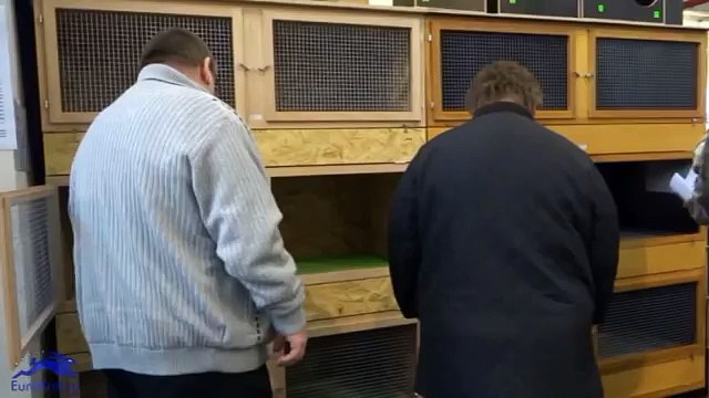 Германские клетки для кроликов