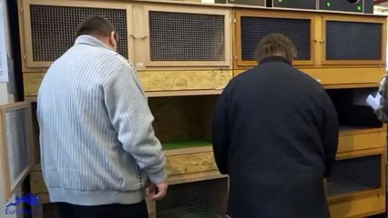 Германские клетки для кроликов