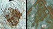 EUROPA LAKE: Nasa 'discovers' liquid water on Jupiter moon