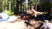 Camping Adventures