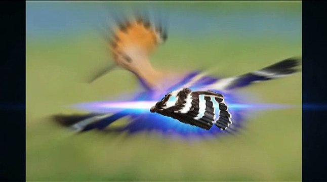 new islamic miracle . عجائب وغرائب العالم ومشاهد عجيبة وغريبة