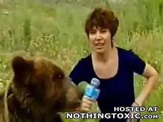 Bear attacks a reporter
