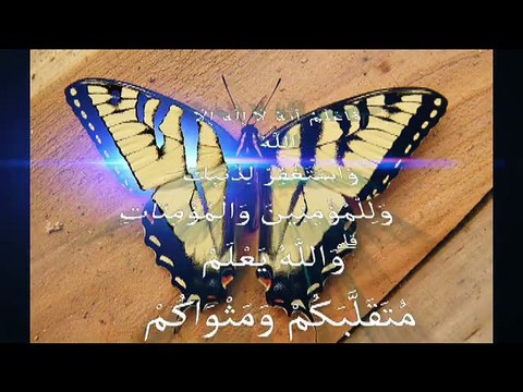 new islamic miracle معجزه حيرت علماء الارض سبحان الله لااله الا الله
