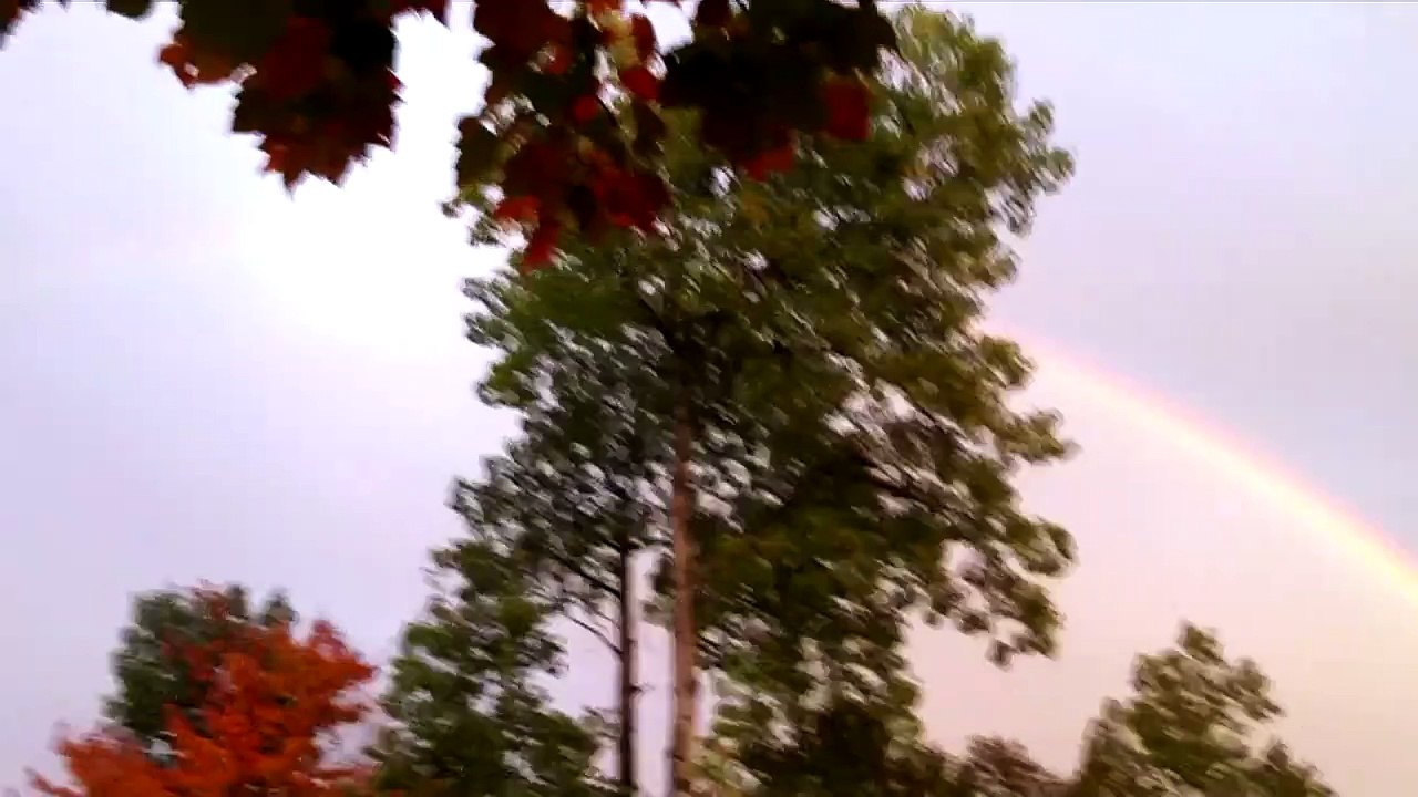 Double Rainbow Guy