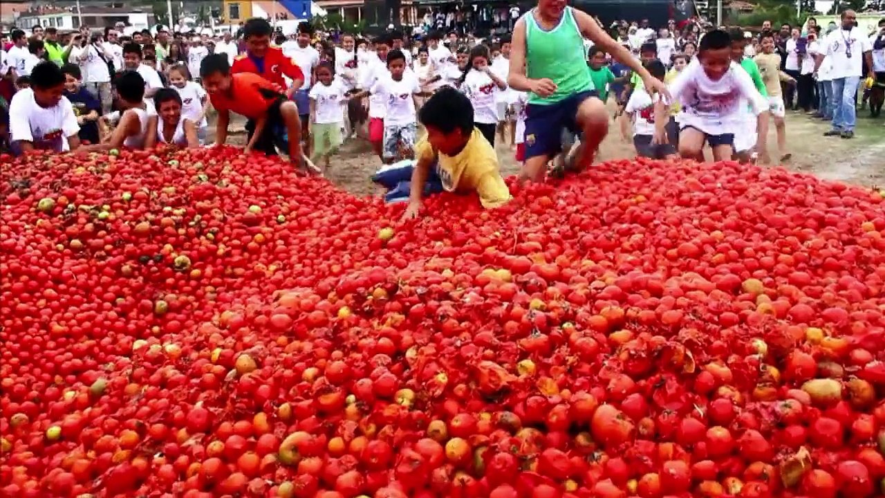 A ‘batalha’ da tomatina