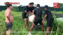 INDO DRAGON 9 VIDEO - AROWANA FARM RAFFLES AROWANA - SINGAPORE