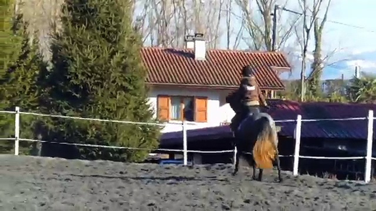 Brillant travail liberté et monté