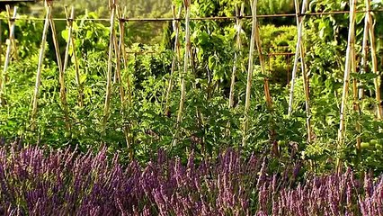 French Gardens - The Gourmet Garden