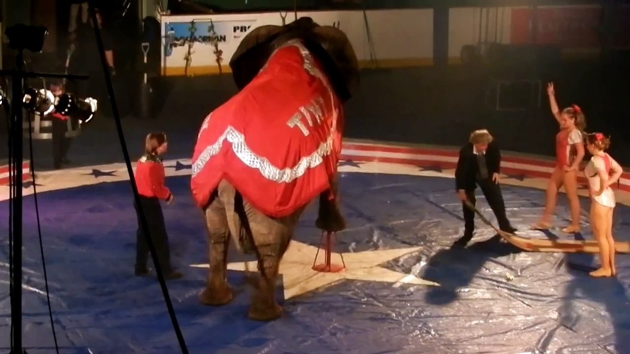 Jordan World Circus - Elephant Act