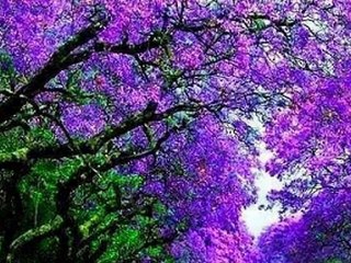 Orla Fallon - Always There