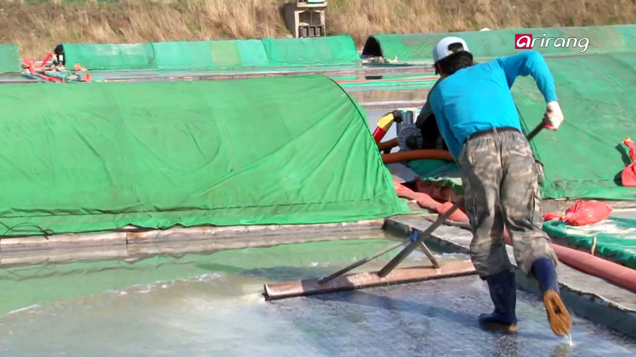 Mechanics of Life Ep8