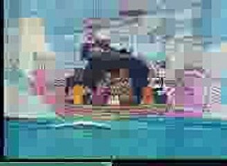 나이아가라카지노 ▤♥↑-( SSP７７８。ㄷ0Ｍ )-↑☜▤ 나이아가라카지노