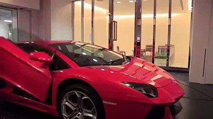 Renaud Margry - I_m rich i don_t care! I want my ferrari in my...