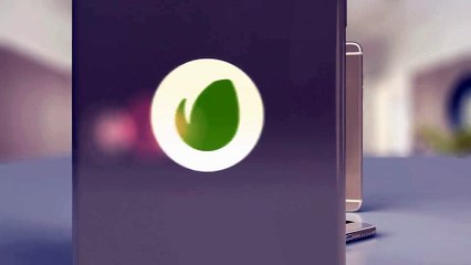 After Effects Project Files - Phone6 Plus Ad - VideoHive 8958096