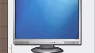 HP W19B 19 Widescreen LCD Monitor