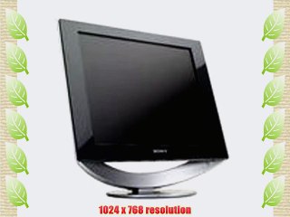 Sony SDM-HS53/H 15 LCD Flat Panel Monitor (Gray)