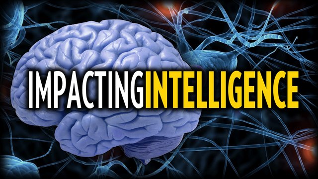 Impacting Intelligence (IQ) | Stefan Molyneux and Hank Pellissier