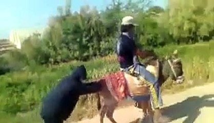 very funnyby sher ali sahil