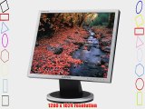 Samsung SyncMaster 940B 19 LCD Monitor - Silver