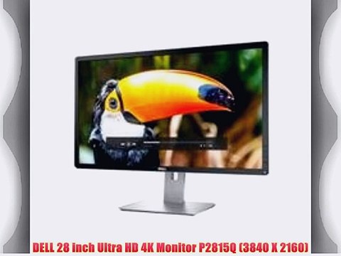 DELL 28 inch Ultra HD 4K Monitor P2815Q (3840 X 2160)