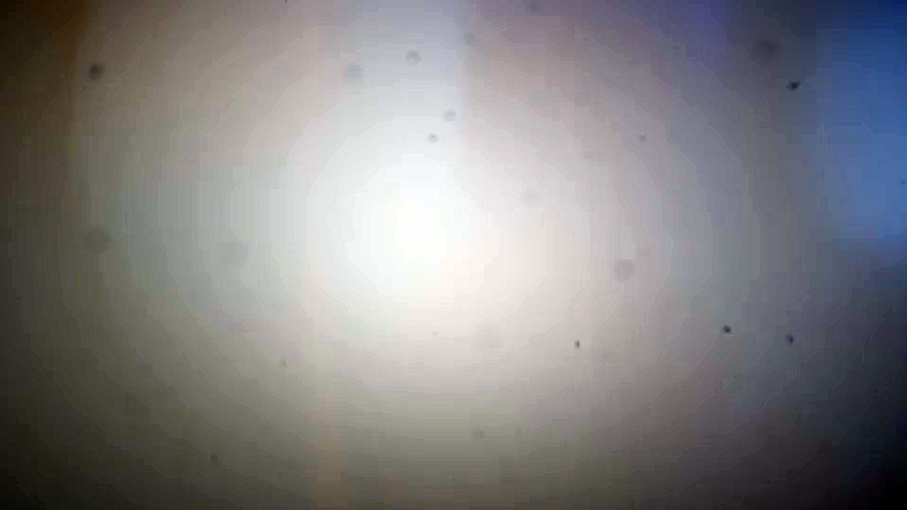 After Effects Project Files - Particles Logo Reveal - VideoHive 8779916