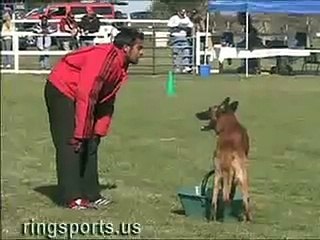 2007 NARA Championship Super Selection