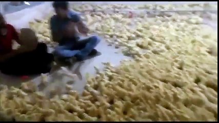 Chicks Flock To The Concert - Funny Videos