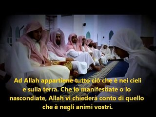 L'amore dei musulmani per Dio - emozionale (sottotitoli) + english,german