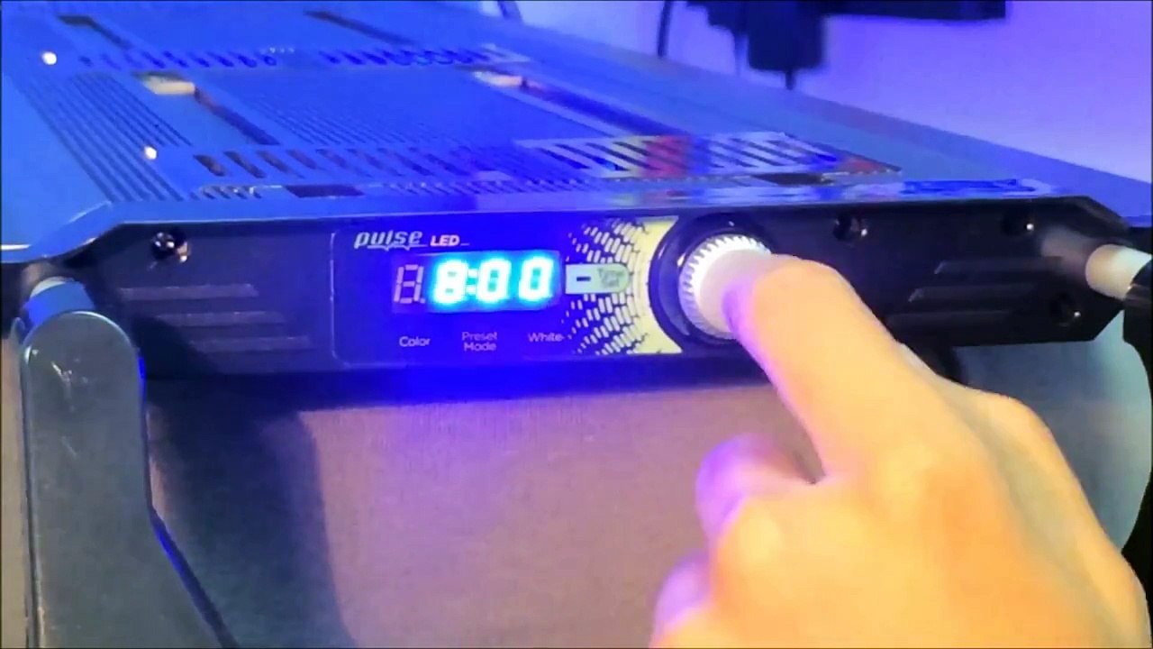 Pulse Timer