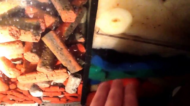 How to setup up an freshwater aquarium sump