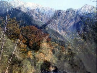 穂高白百合のアルバム