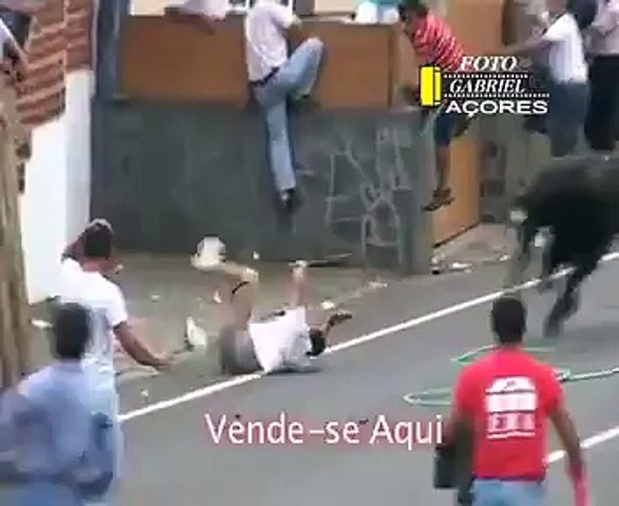 Bull Fighting