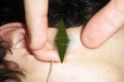 Ear Stretching: Top Reasons Why Organic Plugs Are the Best