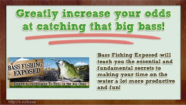 Bass Fishing 2015: Bass Fishing Exposed
