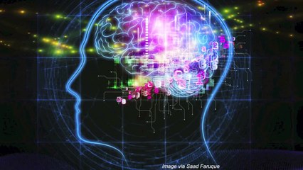 What Constitutes True Artificial Intelligence?