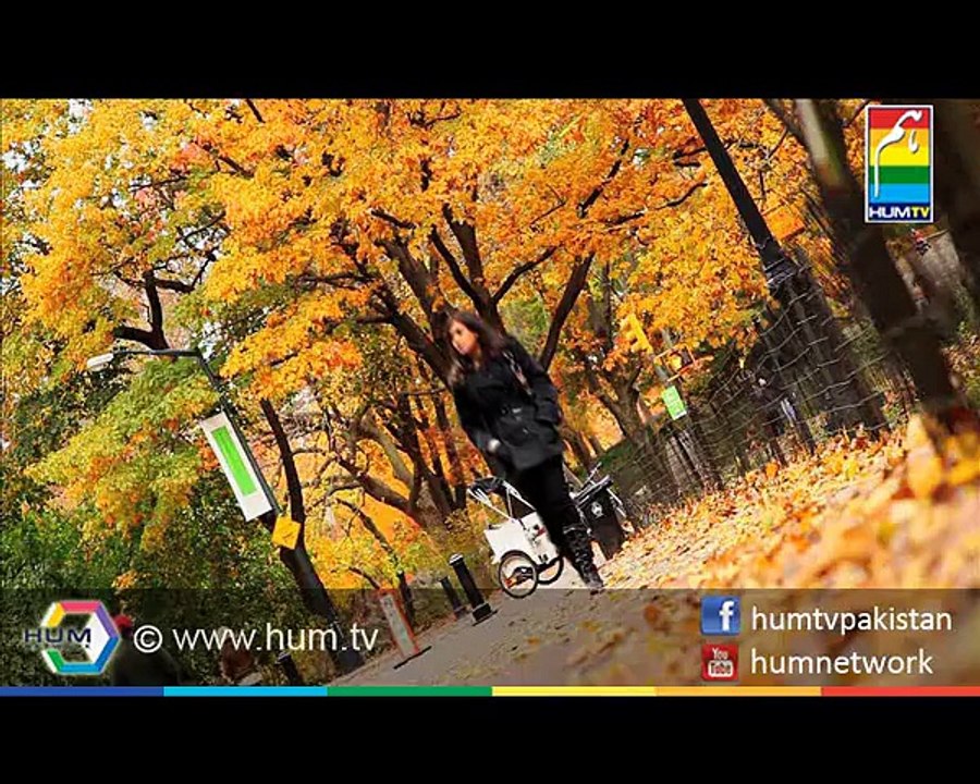 Bilqees Kaur Full OST HUM TV Drama