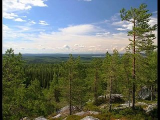 Vesa-Matti Loiri ~ Nocturne (Kaj Chydenius)